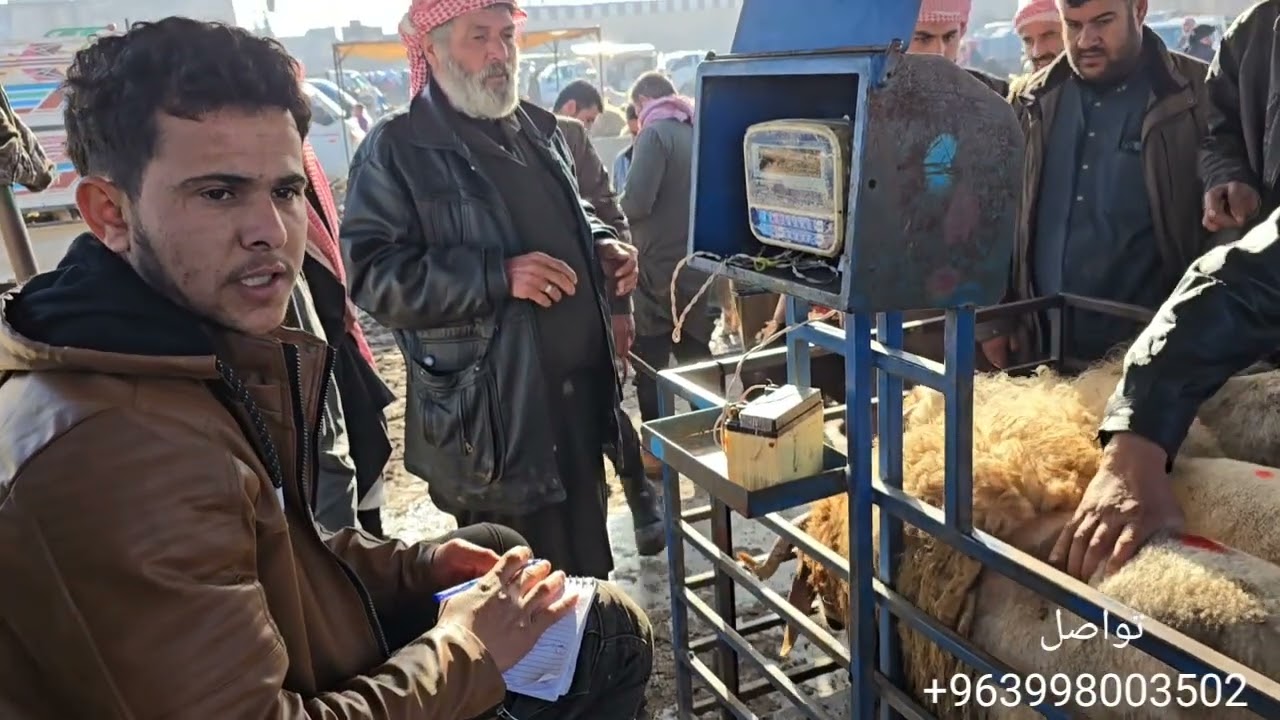 جوله جديده في اسواق المواشي الاثنين 9\2\2026 حركه السوق وأسعار اللحم ولاعلاف والغنم المجنوي 