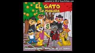 Novillos De La Sierra x Diferente Nivel - El Gato & Su Manada (Corridos 2024)