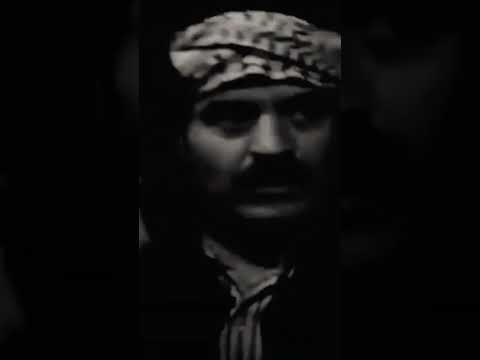 نصار ابن عريبي امك بل كركون مسلسل الخوالي Shorts