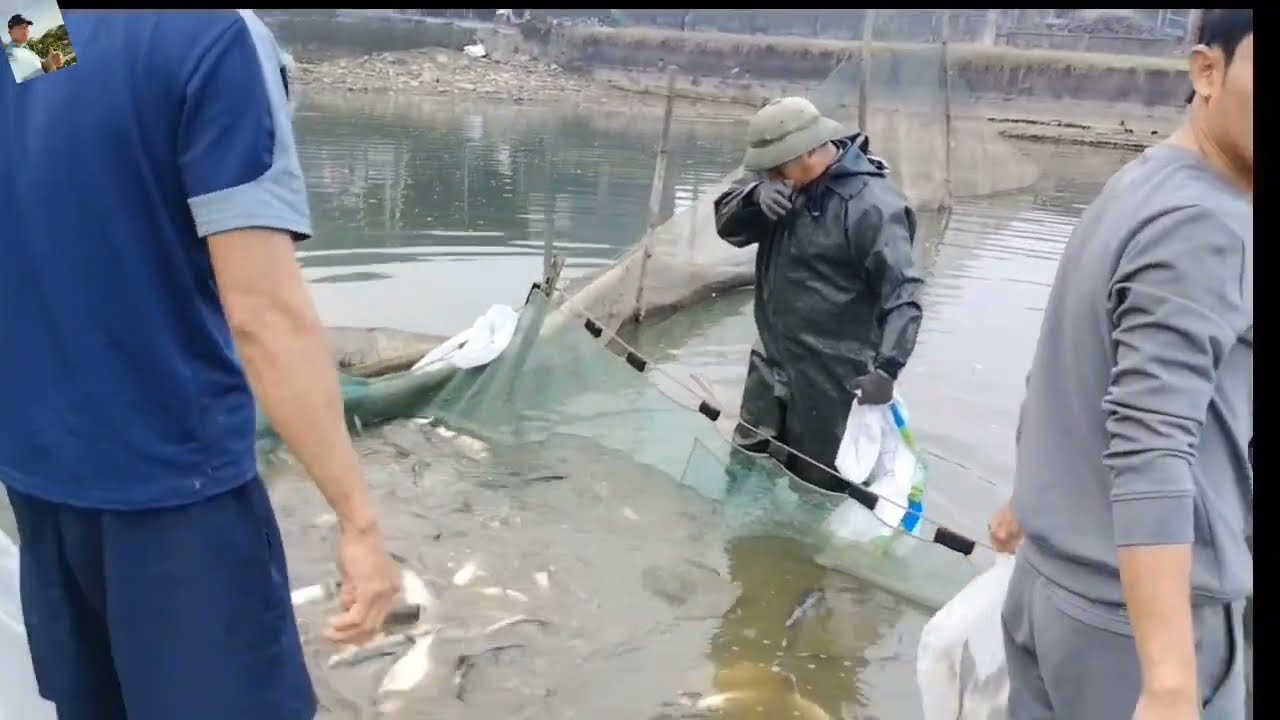 ĐÁNH CÁ SAU TẾT NƠI VÙNG QUÊ 