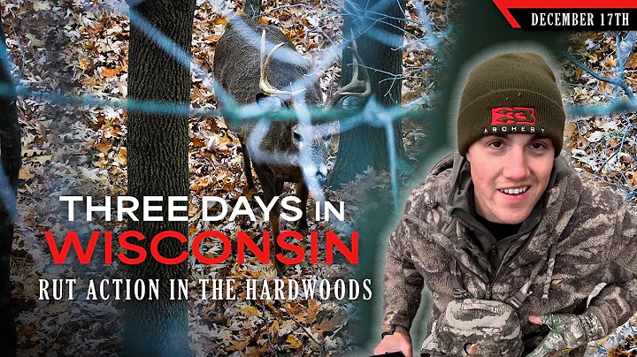 Three Days of Rut Action in the Wisconsin Hardwoods | Bowhunting Whitetails w/ Bill Winke