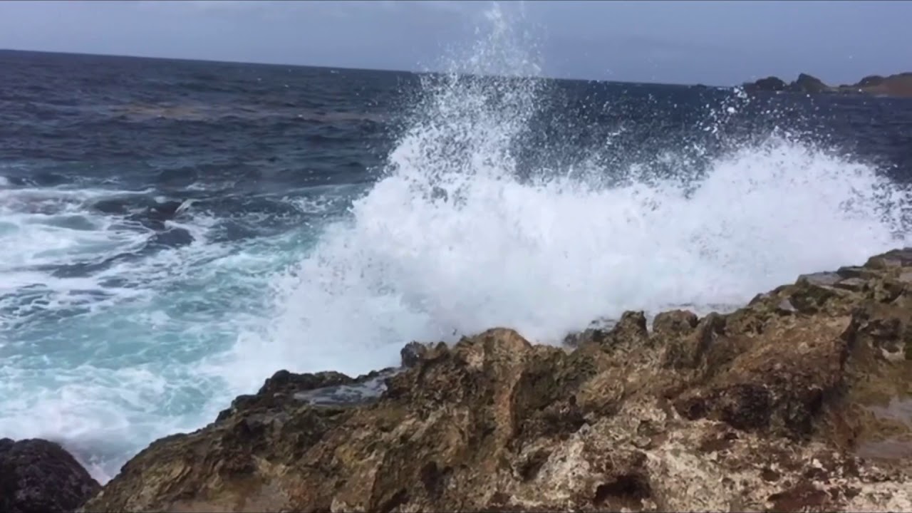 Aruba Fun