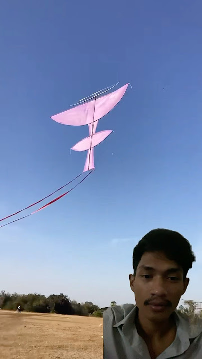 Kite Thailand 🇹🇭🪁 #kite #kiteflying #hotairballoon #kiteinthesky #diy #kiteo #automobile