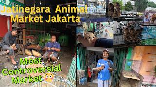 Jatinegara Animal Market | Most Controversial Animal Market in Jakarta 🇮🇩
