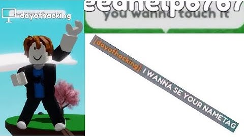 Wild Exploiter Found in Slap Battles