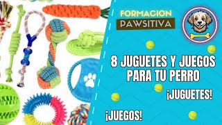 8 Juegos y juguetes para tu perro