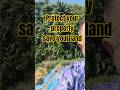 STOP 🛑 your property and land going to landslide we give free VETIVER GRASS KING SABAH quotations.