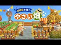 【あつ森】全種類植えて野菜畑を作る【マイデザなし島クリエイト】2