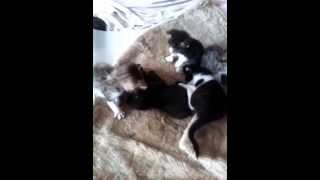 VID 20150519 215321