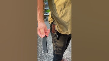 NEW XL Tux Double Clip knife sheath with a Spyderco PM2 and Streamlight, a leather EDC belt holster