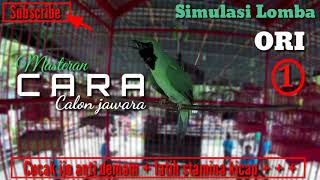 DownloadSIMULASI LOMBA CUCAK IJO JAWARA MP3 MP4 SIMULASI LOMBA CUCAK IJO JAWARA