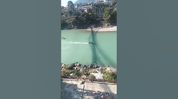 i am a professional trader #trending #trading #binary #forextrader #trader #motivation