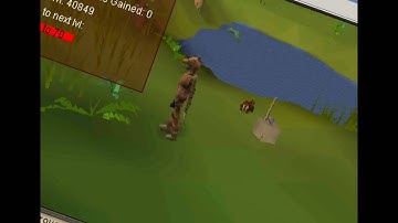 RUNESCAPE - RSBOT.ORG