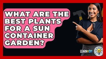 What Are The Best Plants For A Sun Container Garden? - LearnToDIY360.com