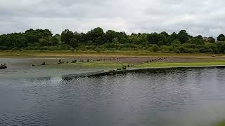 Embalses de Galicia.