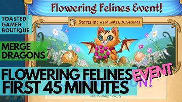 First 45 Minutes • Merge Dragons Flowering Felines Event • Tips & Tricks ☆☆☆