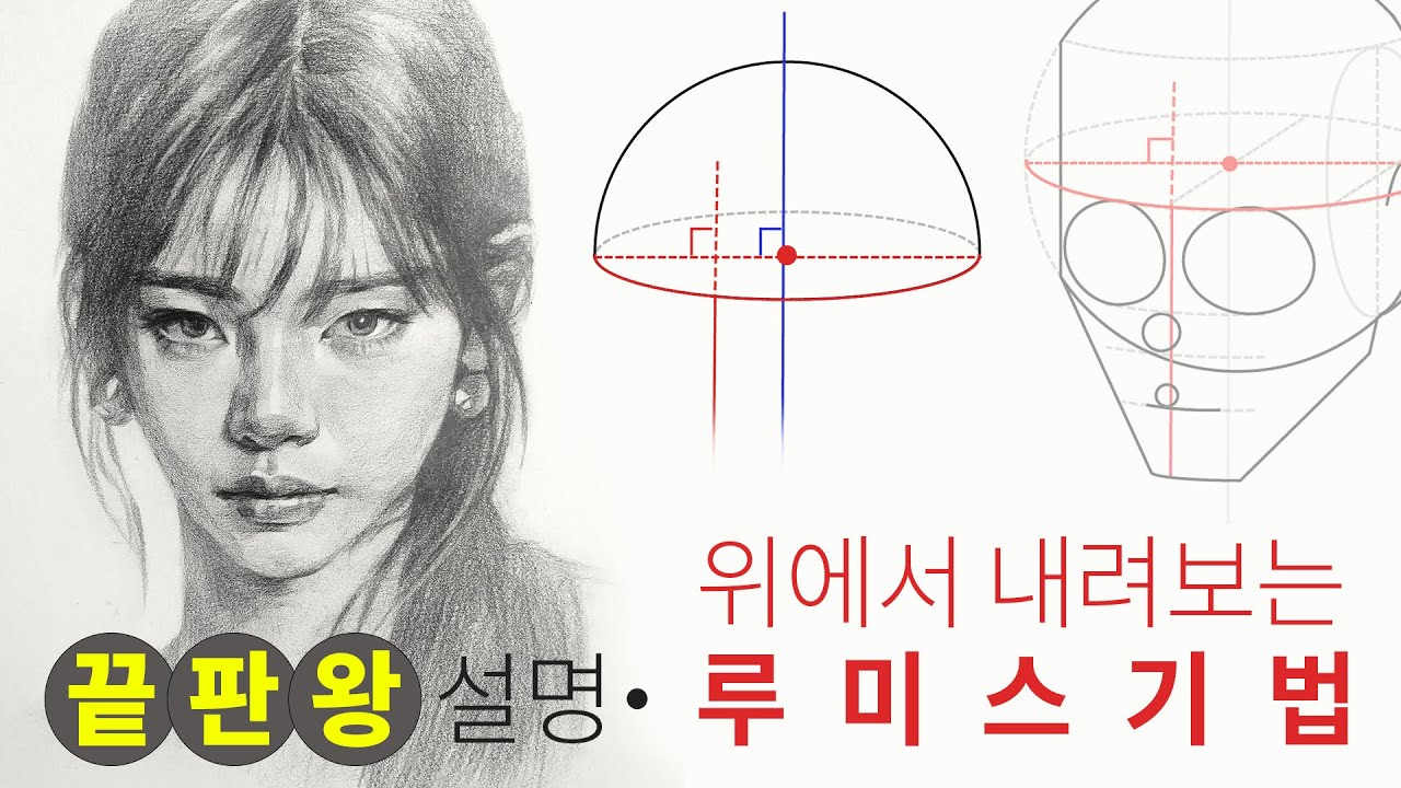 루미스기법 위, 아래에서 보는 얼굴 쉽게