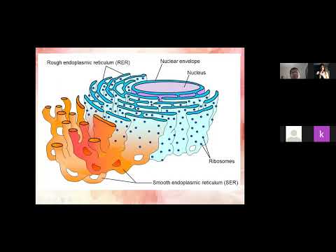 Lec 2 601107 Cell components and cellular constituent 3-64