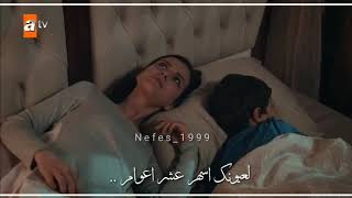 جعفر الغزال - محمد جمال - حالف لا ما انام / نفس وطاهر