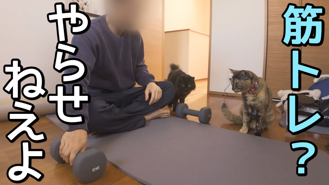 筋トレをしたい旦那と邪魔をしたい猫の攻防が熱すぎた！