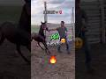 🔥Болашағы зор ТАЙ🔥 #compilation #horse #horseriding #war #rek #кокбору #финиш #хочу #лошади #көкпар