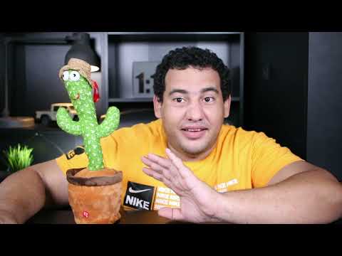 فادى عضلات والصبارة الراقصة