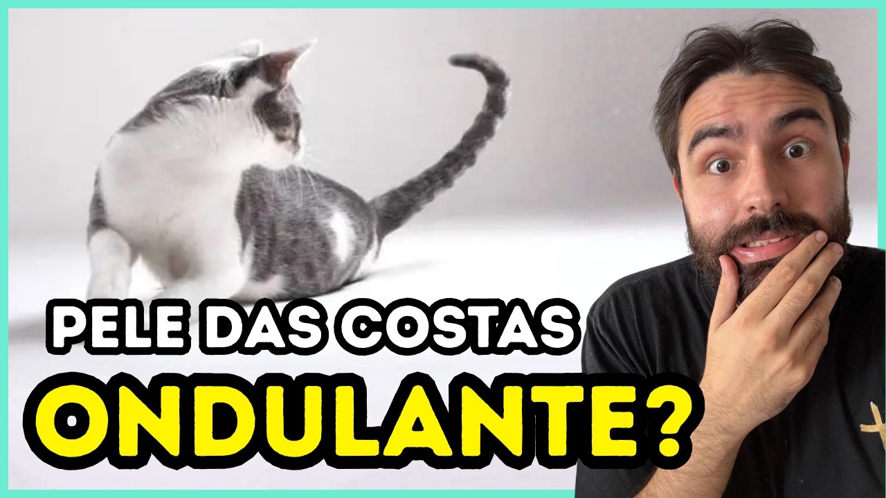 Se a Pele das Costas do Seu Gato Dá Umas 