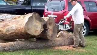 INDIANA GTG  arboristsite chainsaw