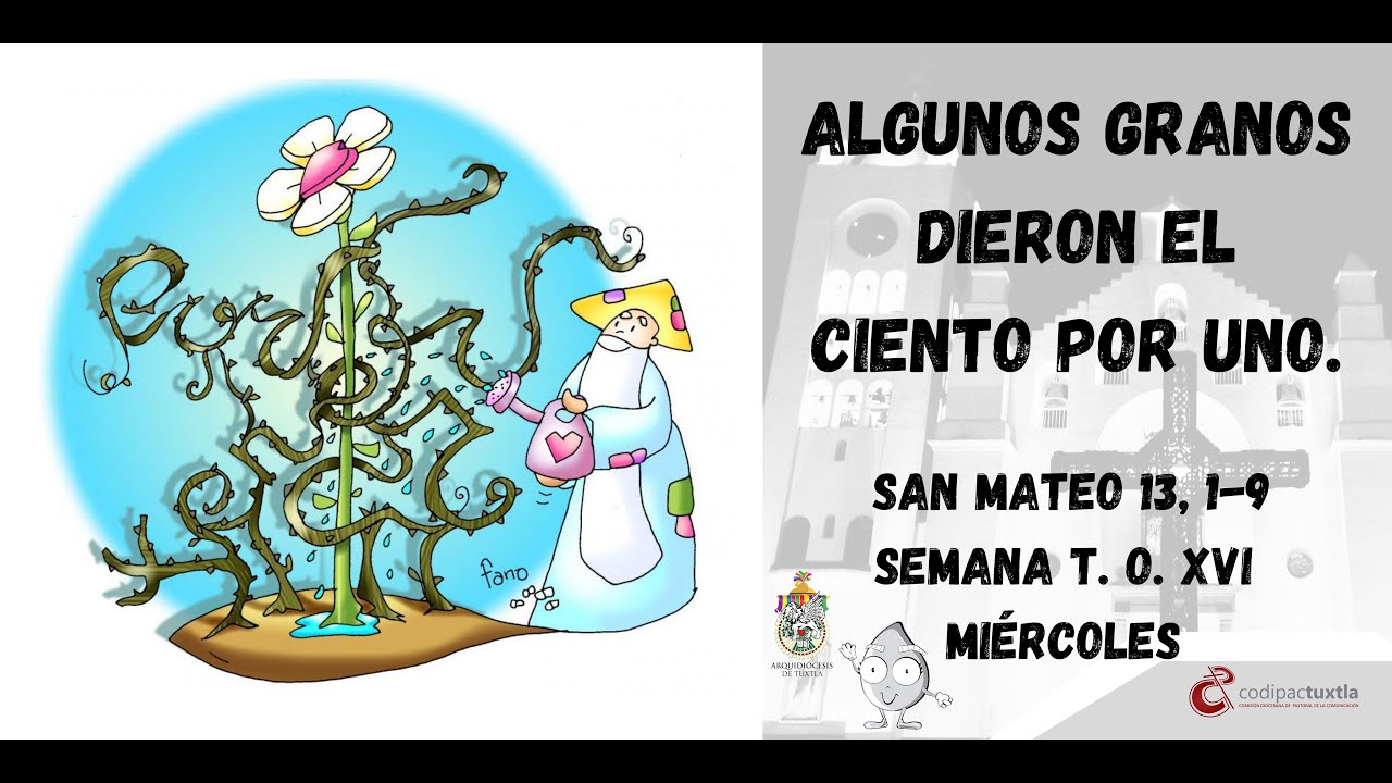 Evangelio Del D a San Mateo 13 1 9 T O XVI Mi rcoles 2023 06 26 Mons evangelio-del-d-a-san-mateo-13-1-9-t-o-xvi-mi-rcoles-2023-06-26-mons