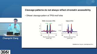 Chongzhi Zang | Unbiased analysis of chromatin profiling data | CGSI 2026