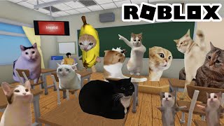 【ROBLOX】學校被迷因貓咪佔領了!! [NyoNyo妞妞日常實況]