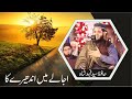 Nabi Ka Nam Lewa | Sayad Muhammad Fahad  Shah | Heart Touching Nasheed