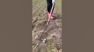 Dụng cụ làm cỏ đơn giản nhưng hiệu quả #satisfying #farmernaturallife