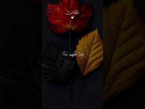 و ج ع ل ن ا م ن ب ي ن ا ي د ي ه م س د ا و م ن خ ل ف ه م س د ا