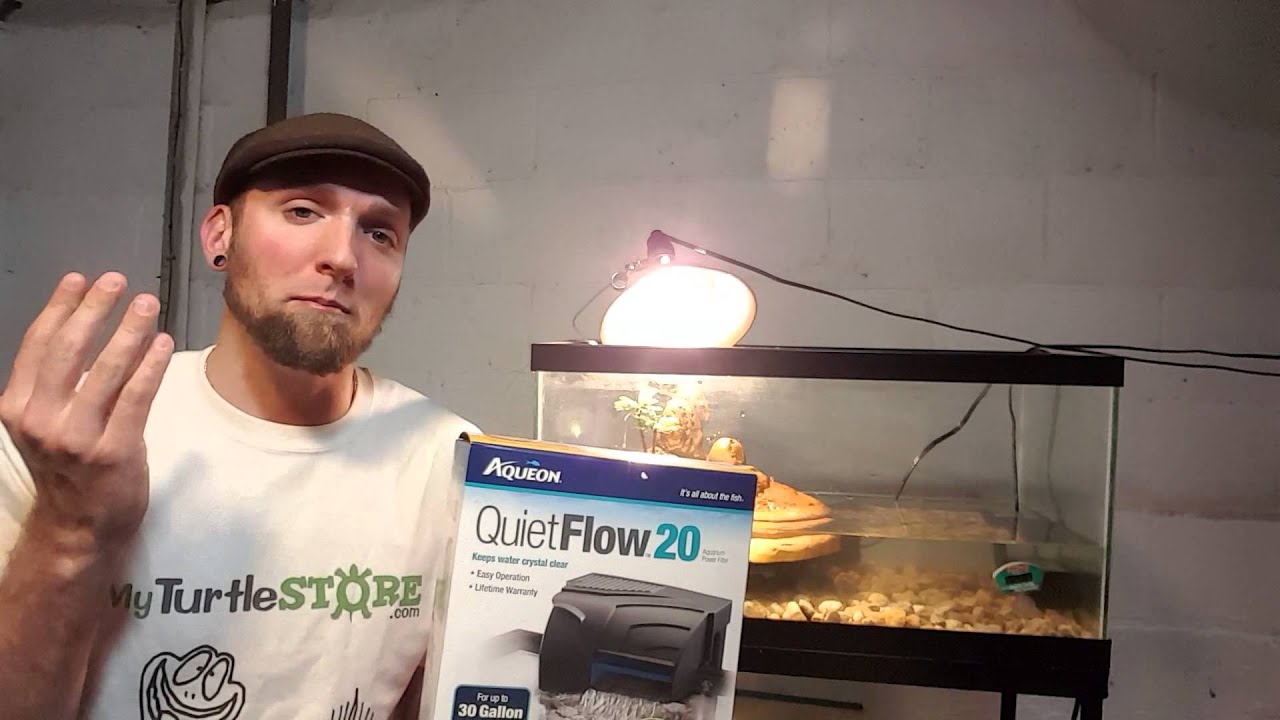 aqueon filter cartridge xs Aqueon Power Filter For Turtles And Fish Aquariums Why I Love This Filter