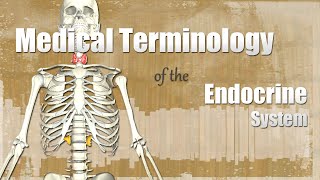 Medical Terminology of the Endocrine System
