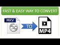 Fast and Easy Way to Convert MKV to MP4