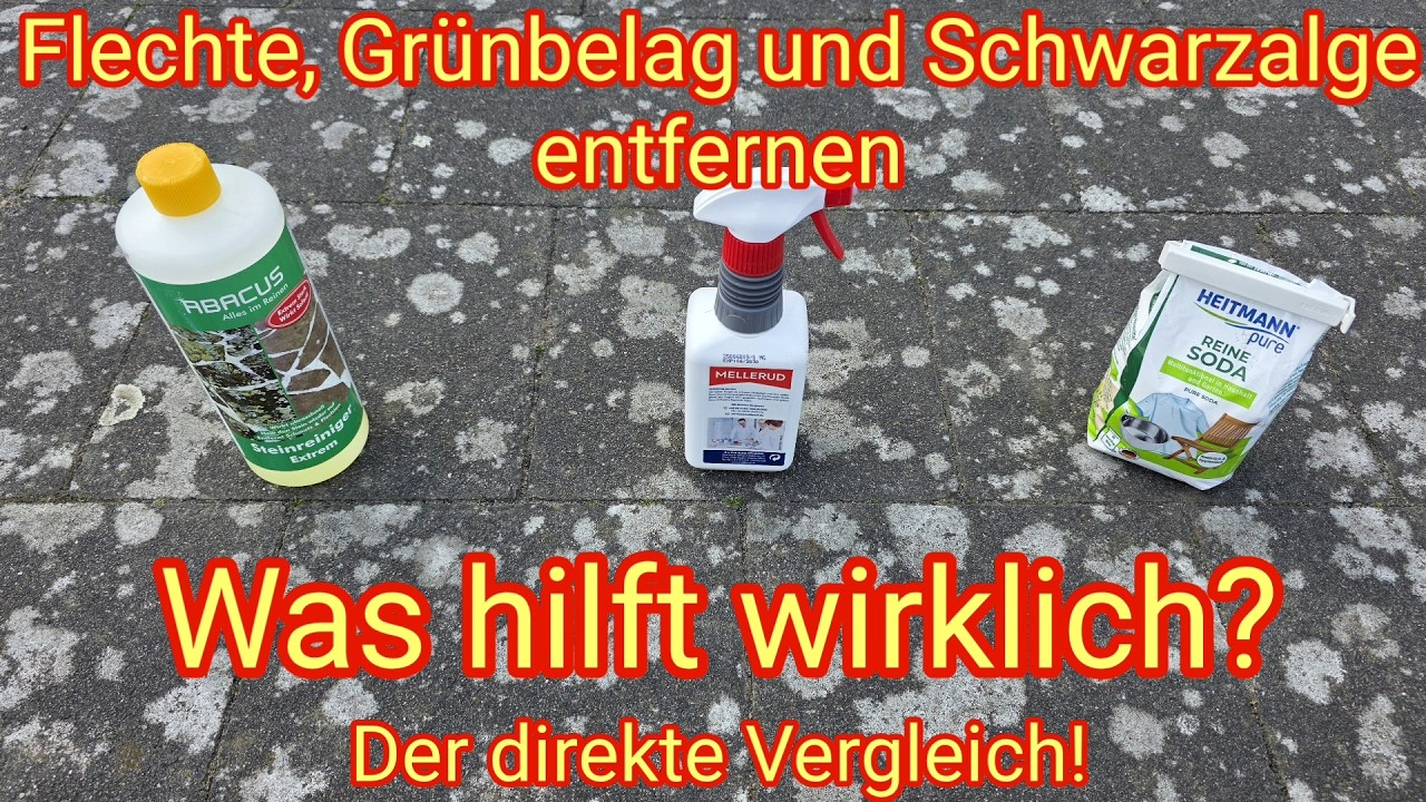 Flechte, Grünbelag & Schwarzalgen von Terrassen- & Gehwegplatten entfernen - Was hilft wirklich?