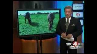 WCMH Channel 4 9 19 2012 Chrissy and Topper