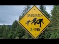 Terrifying Bigfoot Story of Utah