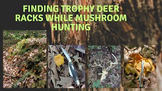 See What I Found While Mushroom Hunting