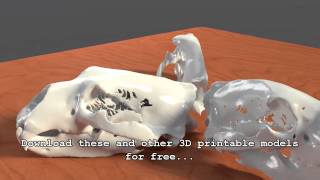 3D Printable Polar Bear Skull