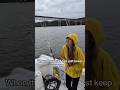 Rods keep teasing me.. #hookinncookin #fishing #catfishing #fishingvideo #gethooked #fishingdaily