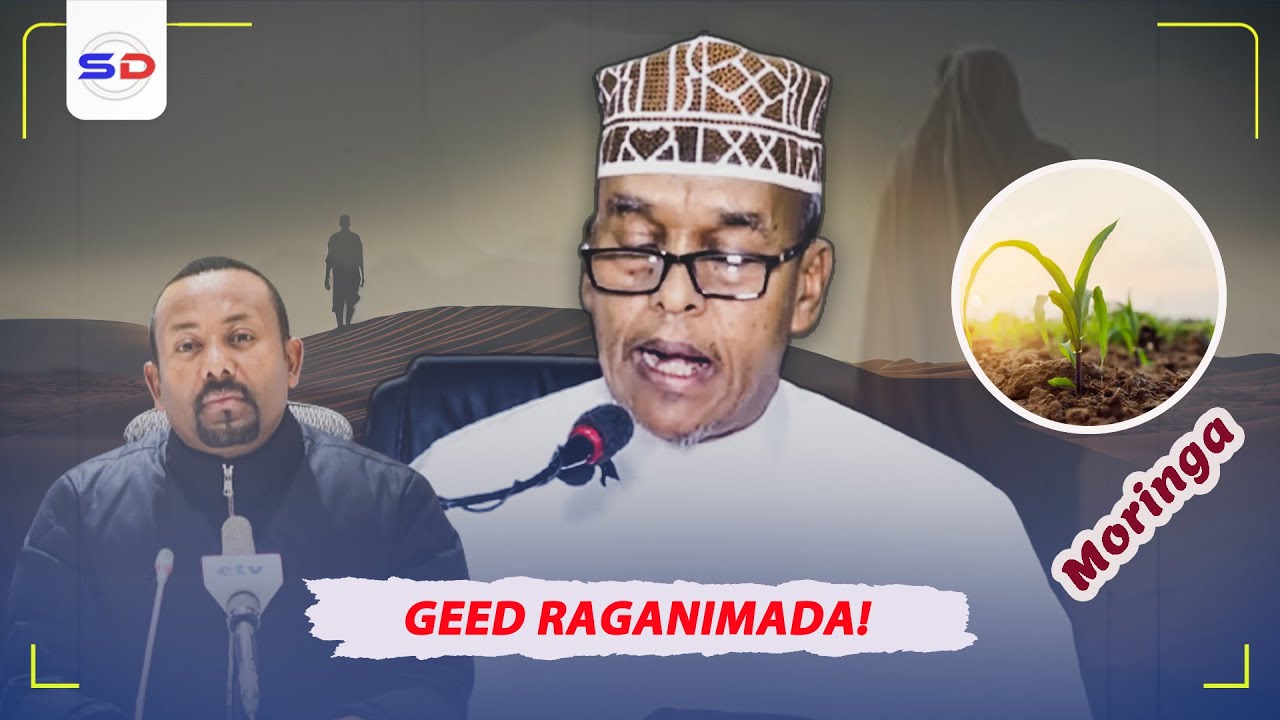 Sh Maxamed Ismaaciil | Ethiopia Hadii Aynu Coloowno Maxaa Dhici Kara? Arin Halis Badan!