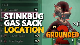 Stinkbug Gas Sack Location Grounded 2