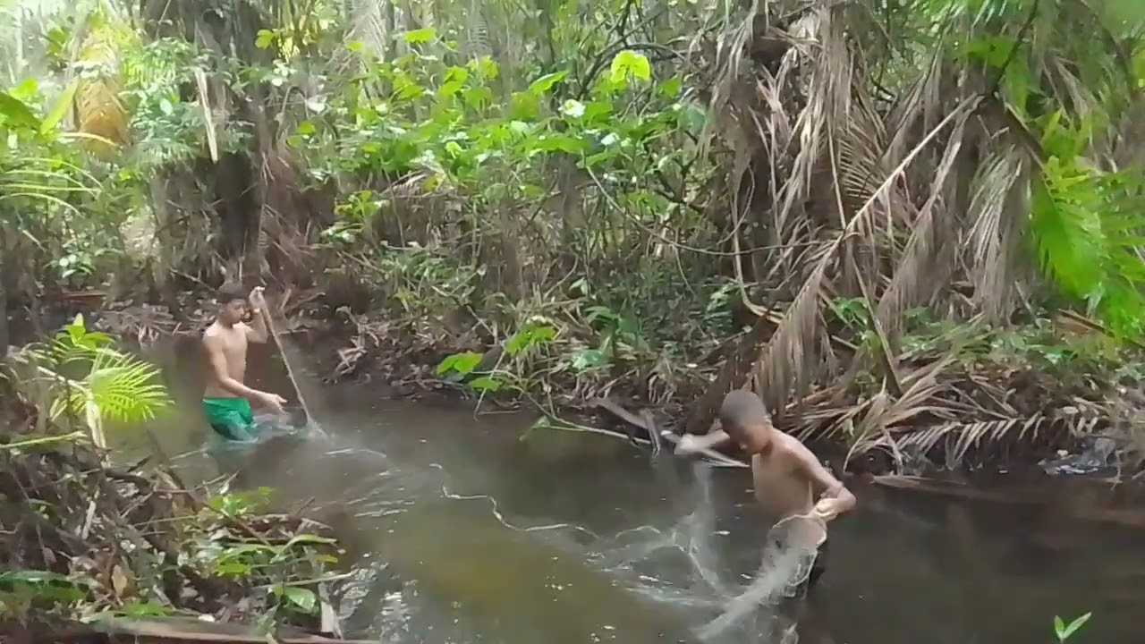 HOJE GALERA EU É MEU AMIGO 👥 COLOCAMOS 3 REDES DE PESCA🐊🐟