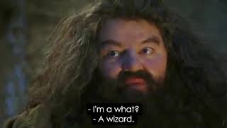 Youre A Wizard, Harry Normal Movie Clip