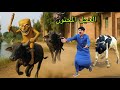 لما تونغ ساهور يشتغل في مزرعة عجول وجموس مع ابوك علاء حسين لما تونغ ساهور يشتغل في مزرعة عجول وجموس مع ابوك علاء حسين