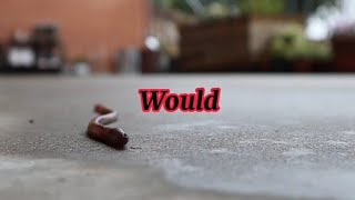 Pink Floyd - Waiting For The Worms