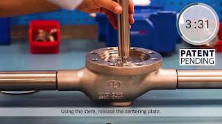 Habonim’s unique Top Entry Cryogenic Valve